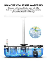Hydroponics Growing System, Indoor Herb Garden