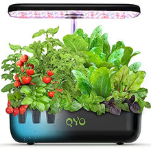 Hydroponics Growing System, Indoor Herb Garden