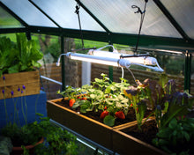Full Spectrum LED Grow Light