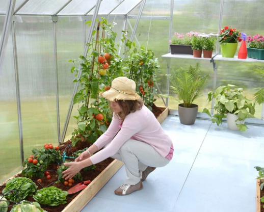 The Top 10 Benefits to Growing in a Polycarbonate Greenhouse in Canada