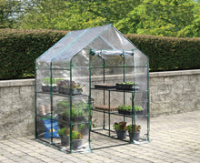 Mini Garden Greenhouse