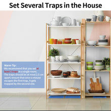 Super Glue Mouse Traps 12 Pack for (safe for pets, kids etc)