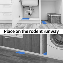 Super Glue Mouse Traps 12 Pack for (safe for pets, kids etc)