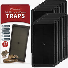 Super Glue Mouse Traps 12 Pack for (safe for pets, kids etc)