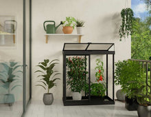 Mini 4 x 2 Greenhouse for Deck