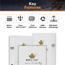 Solar Panel Lithium Battery Packs