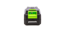 Greenworks 48/24 Volt Battery