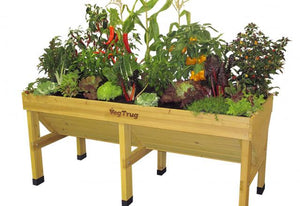 Raised Bed Planter Box