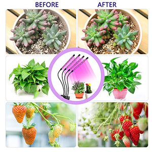 LED Light for Indoor Growing, Seeds and Plants with Auto Timer