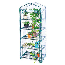 5 Tier Mini Greenhouse with Shelves and PVC Cover
