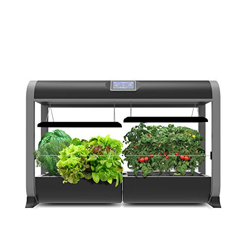 AeroGarden Hydroponic Indoor Farm With Salad Bar, Seed Kit
