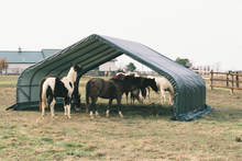 Horse or Livestock Run-in Animal Shelter