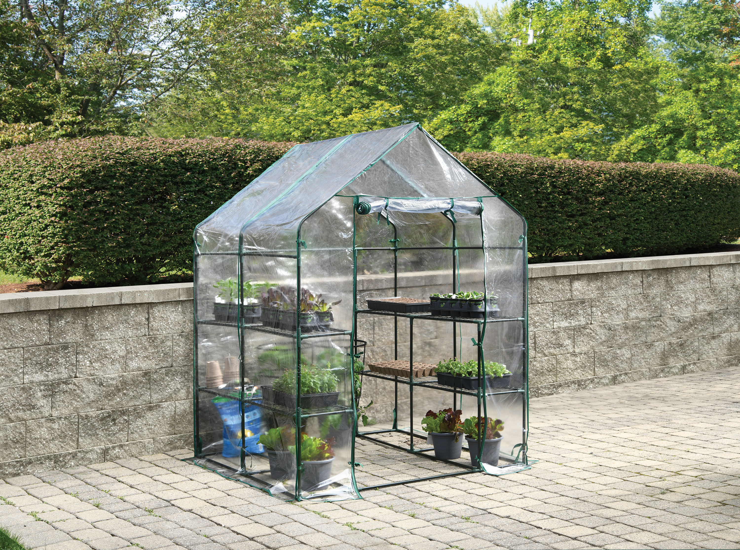 Mini Garden Greenhouse – Grizzly Shelter Ltd.