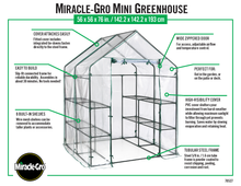 Mini Garden Greenhouse