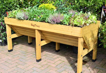 Raised Bed Planter Box