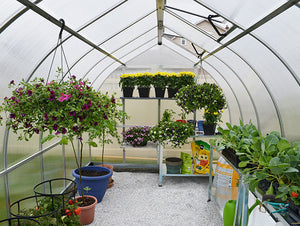 Gothic Arch Greenhouse Great For Snow