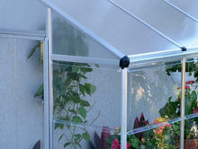 Pent Roof Greenhouse