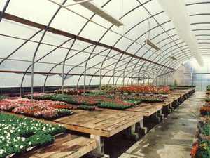 Custom High Tunnel Coldframe Greenhouse